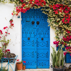 Meet your Posher, Mehrezia